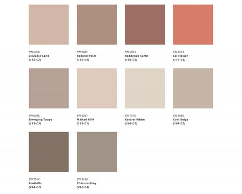 Redend Point Sw 9081, Sw 9081, Redend Point, Earth Tone Decor, Earth Tone Color Palette, House Redesign, Trending Paint Colors, Open Plan Kitchen Living Room, Earth Tone Color