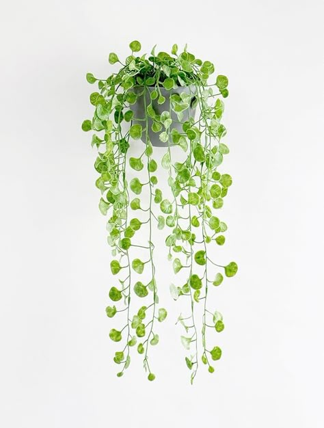 Indoor Outdoor Room, Outdoor Room Decor, Hanging Plants Outdoor, Fake Hanging Plants, Plant Party, Artificial Hanging Plants, Fake Plants Decor, Hanging Plants Indoor, Wall Desk