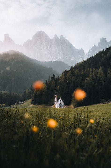 The snow melts and the spring flowers bloom filling the valleys of the Dolomites. Taken from a 'bug's eye' view we look on to the Church of St. John in Val di Funes. A beautiful burst of light hits the mountains in the background as the clouds break. 1/1 Photograph collection. #nft #nftcollection #italy #dolomites Burst Of Light, Europe Photography, Snow Melting, Michigan Avenue, The Dolomites, Flowers Bloom, Grasses, Look On, The Church