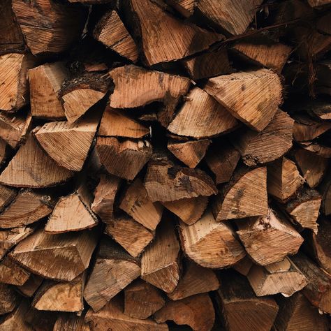 Fall Homestead Aesthetic, Fall Aesthetic Moodboard, Homesteading Aesthetic, Richard Winters, Homestead Aesthetic, Wood Piles, Calico And Twine, Chicken Aesthetic, Honeybush Tea