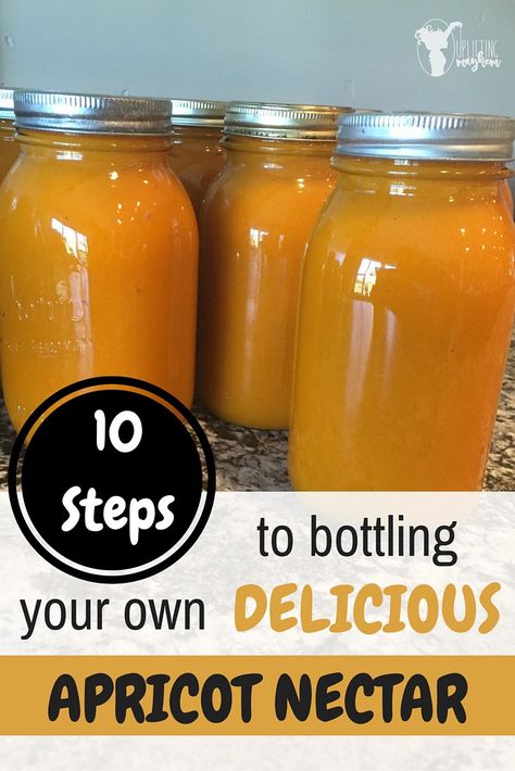 Delicious Apricot Nectar you can enjoy all year round! 10 easy steps! Peach Nectar Recipe, Apricot Syrup Recipe, Apricot Nectar, Canning Peaches, Apricot Recipes, Canning Fruit, Apricot Fruit, Canned Peaches, Fruit Jam