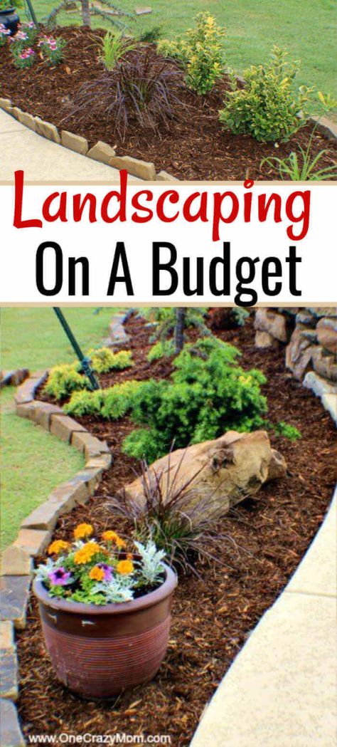 Cheap Low Maintenance Landscaping, Waterless Yard Landscaping Ideas, Low Maintenance Low Cost Landscaping Front Yard, East Landscape Ideas, Around The House Landscaping Ideas, Under Tree Landscaping Ideas Front Yard, How To Do Landscaping, Front Yard Landscaping Ideas Oklahoma, Inexpensive Landscape Ideas