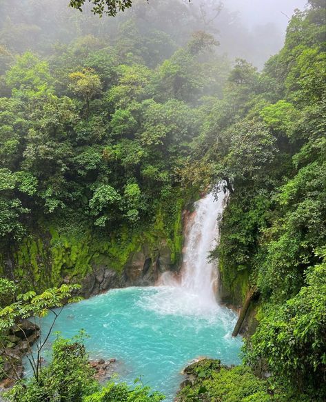 Costa Rica Hiking, Rio Celeste Costa Rica, Photography Nature, Travel Vacation, Vacation Destinations, Summer Vacation, Costa Rica, Adventure Travel, Landscape Photography