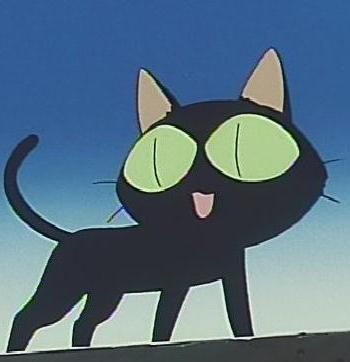 Trigun cat Top 5 Anime, A Black Cat, Tv Animation, Russian Blue, Blue Exorcist, Anime Cat, I Love Anime, Anime Movies, Animated Movies