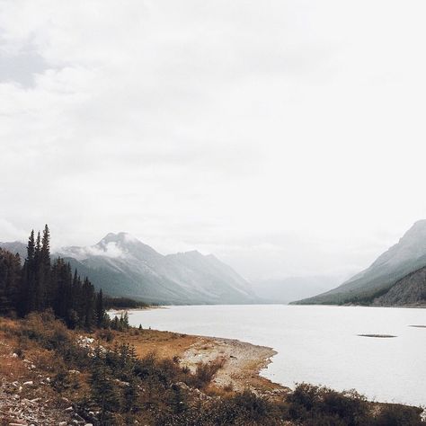 Kananaskis forever | by Jenna Lauren Moody Forest, Seasonal Affective, Moody Photography, Get Outside, Outdoor Adventure, The Outsiders, Forest, Natural Landmarks, Instagram Post