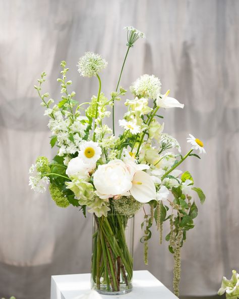 Contemporary Neutrals collection is available to shop online 🤍 #newcollection #summerflowers #peonies #daisy #londonflorist #yourlondonflorist #giftideas Summer Flowers, Peonies, Florist, Daisy, Flowers, Quick Saves