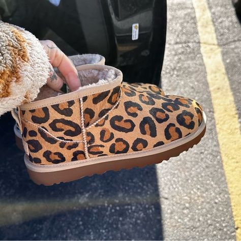 Ultra mini UGGs - brand new - authentic - size 8- cheetah print Cheetah Print Uggs, Ultra Mini Uggs, Mini Uggs, Southern Ontario, Ugg Mini, Ontario Canada, Ugg Shoes, Cheetah Print, Ontario