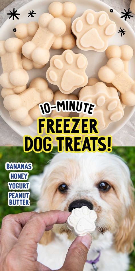 Make these frozen dog treats with Greek yogurt, peanut butter, and bananas for a quick, healthy snack your dog will love. Easy to prepare and perfect for hot days! Yogurt For Dogs, Greek Yogurt Peanut Butter, Frozen Dog Treats Homemade, Frozen Greek Yogurt, Easy Dog Treat Recipes, Frozen Dog Treats, Easy Dog Treats, Honey Yogurt, Peanut Butter Dog Treats