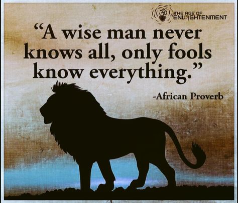 Native American Wisdom, African Proverb, Proverbs Quotes, Interesting Quotes, Wise Men, Life Motivation, A Quote, New People, Wise Quotes