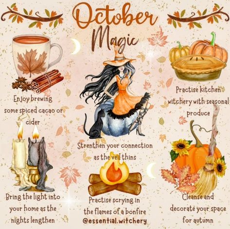 December Magical Correspondences, October Correspondences, Hygge Witch, Witchy October, Magical Kitchen, Magickal Correspondences, New Moon Full Moon, Magic Things, Witchy Tips