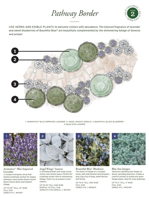 Matrix Planting Plan, Landscape Design Rendering, Landscape Planting Plan, Garden Landscape Design Plan, Bhg Garden Plans, Formal Planting, Planting Design Plan, Circular Garden Design, Landscape Design Program