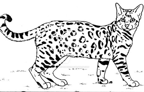 Bengal cat drawing sheet Bengal Cat Drawing, Bengal Cat Colors And Patterns, Bengal Cat White, Bengal Cat Personality, Bengal Cat Marbled, Drawing Sheet, Cat Coloring Page, Bengal Cat, Cat Colors