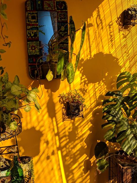 Balcony Garden Yellow wall Yellow Balcony, Yellow Painted Rooms, Yellow Bedroom Walls, Dandelion Color, Yellow Painted Walls, Coloured Walls, Mums Garden, Chill Spot, Balcony Wall