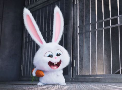 Kevin Hart, The Secret Life Of Pets Snowball Rabbit, Pets Movie, Rabbit Wallpaper, 디즈니 캐릭터, Cute Bunny Cartoon, Bunny Wallpaper, Secret Life Of Pets, Bunny Pictures, Cute Cartoon Characters