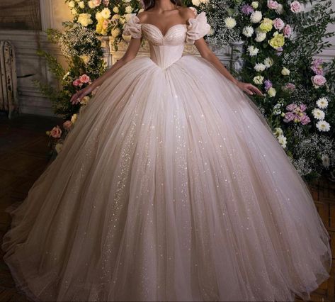 Blush Princess Wedding Dress, Wedding Dresses Giant Ball Gown, Princess Gown Wedding Dress Cinderella, Beautiful Dresses Wedding, Big Ball Gowns Fairytale, Quince Dresses Turquoise, Fluffy Wedding Dress Princesses, Most Beautiful Wedding Dresses In The World, Wedding Dress Aesthetic Princess