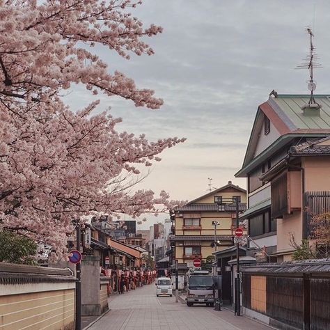 #love #aesthetic #spring #pastel #gorgeous #city #street #asian #life  https://weheartit.com/entry/327908069 Cherry Blossom Trees, Japan Street, Style Instagram, Japan Aesthetic, Aesthetic Japan, Japanese Aesthetic, City Street, Blossom Trees, Aesthetic Themes