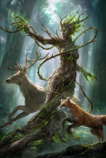 Elder Scrolls Legends, Mythical Creatures Fantasy, Forest Spirit, The Elder Scrolls, Forest Creatures, Fantasy Races, Mythical Creatures Art, Elder Scrolls, Magical Creatures