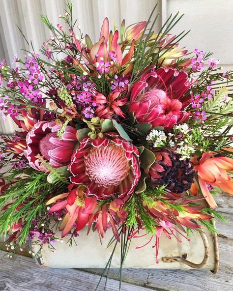 Heliconia Arrangement, Plants That Love Shade, Protea Wedding, Protea Bouquet, Protea Flower, Australian Native Flowers, Australian Native Plants, Unique Wedding Flowers, Church Flowers