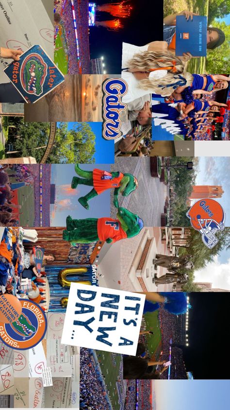 Florida Wallpaper, Uf Gators, Dream College, Dream School, University Of Florida, Florida Gators, When I Grow Up, School Motivation, College Life