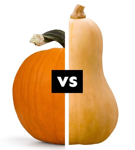 What's the difference between pumpkin vs squash? Are they they same thing? We're unveiling the gourd-geous differences between these fall time favorites! Pumpkin Noodles, Pumpkin Benefits, Canned Squash, Pumpkin Vegetable, Yogurt Bites, Pumpkin Smoothie, Pumpkin Pie Mix, Squash Pasta, Pumpkin Pasta