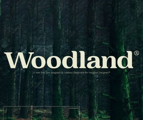 Woodland Font - Download Free Font Woodland Font, Nirvana Font, Space Font, Modern Sans Serif Fonts, Free Fonts For Designers, Modern Sans Serif, Best Free Fonts, Fancy Fonts, Script Type