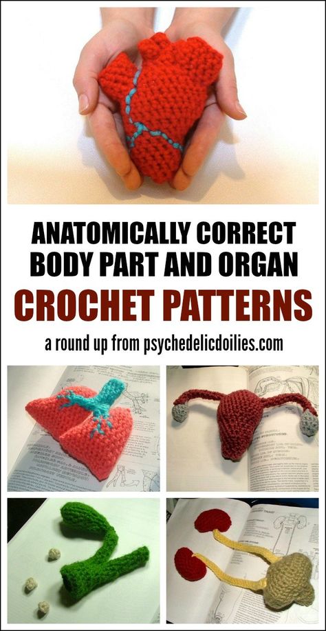 Anatomically correct body part and internal organ crochet patterns. Organ Crochet, Crochet Anatomy, Granny Square Häkelanleitung, Amigurumi Design, Stitches Design, Crochet Bodies, Amigurumi Ideas, Crochet Gift, Granny Squares Pattern