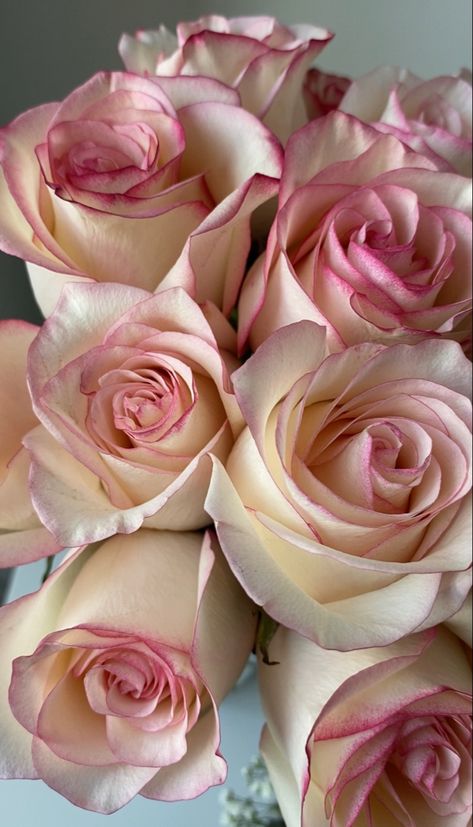 Photo of a bouquet of pale pink roses taken up-close and from an aerial perspective. Red Roses Wallpaper, Pale Pink Roses, Pink Rose Bouquet, Rose Background, Flower Background Wallpaper, Luxury Flowers, Rose Wallpaper, Everything Pink, Christmas Love