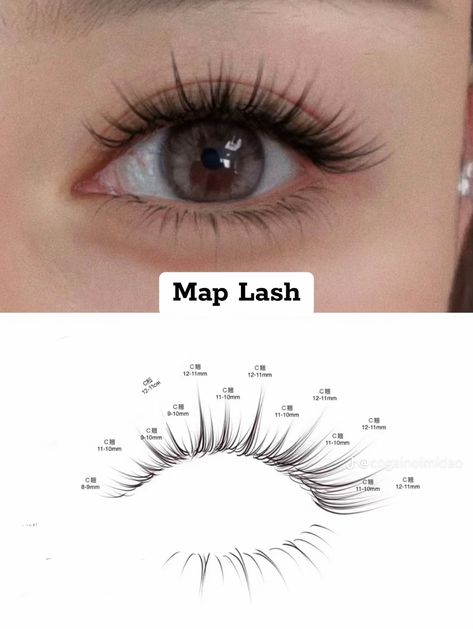 Lash Mapping Asian Eyes, Light Wispy Eyelash Extensions Mapping, Lash Animation, Manhua Lash Map, Wispy Lashes Mapping Clusters, Manga Lash Extension Map, Manga Lashes Map, Manga Lash Map, Lower Lash Extensions