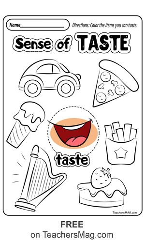 Five Senses Kindergarten, 5 Senses Preschool, 5 Senses Worksheet, Five Senses Worksheet, Five Senses Preschool, Preschool Activity Sheets, 5 Senses Activities, Senses Preschool, My Five Senses