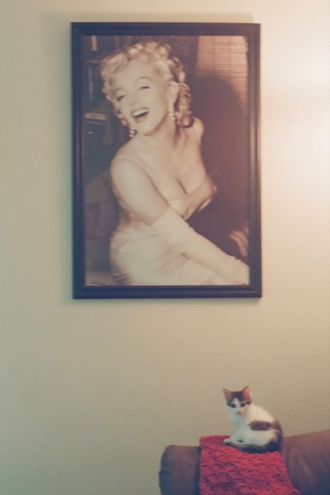 Film, Marilyn Monroe, marilyn monroe poster, room decor, wall decor, inspo, film camera, kitten, kitty, cat pictures, film aesthetic, living room ideas, kodak film Marilyn Monroe Pictures On Wall, Marilyn Monroe Poster, Marilyn Monroe Movies, Cat People Movie 1942 Film, Blonde Marilyn Monroe Movie, Marilyn Monroe Some Like It Hot Film, Kodak Film, Film Aesthetic, Film Camera