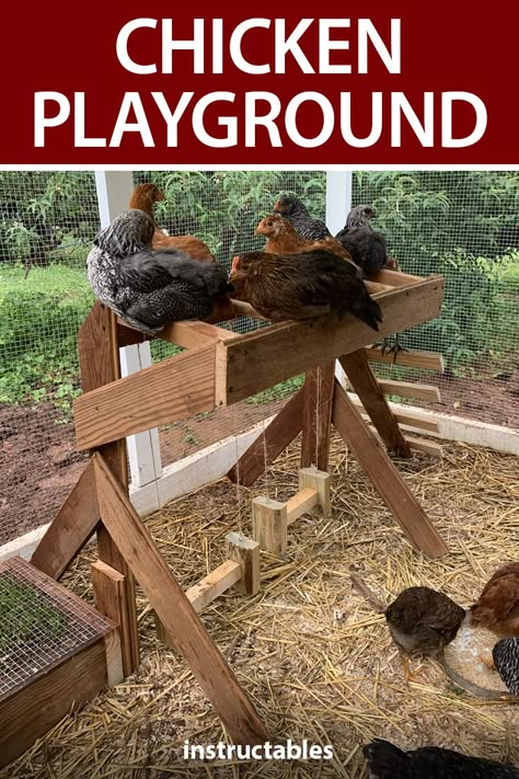 Chicken Climbing Ideas, Chicken Yard Toys, Chicnic Table Diy, Diy Chicken Playground, Chicken Run Activities, Chicken Run Playground, Chicken Playground Ideas Diy, Chicken Playground Ideas, Chicken Toys For Coop