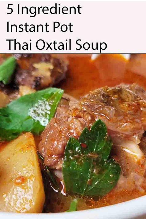 Thai Oxtail Soup Recipe, Oxtails In Pressure Cooker, Ox Tails Instant Pot, Instant Pot Oxtail Soup, Instant Pot Oxtail Recipes Easy, Instant Pot Oxtail Recipes, Oxtail Recipes Instant Pot, Hawaiian Oxtail Soup Recipe, Pressure Cooker Oxtail