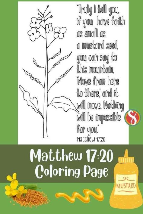 Free printable Matthew 17:20 for mustard seed bible craft from Stevie Doodles #mustardseed #mustardseedbible #mustardseedbibleprintable #mustardseedbiblecraft #freemustardseedbibleprintable Mustard Seed Faith Craft, Faith Like A Mustard Seed, Scripture Coloring Pages, The Book Of Matthew, Free Bible Coloring Pages, Seed Craft, Free Scripture Printables, Mustard Seed Faith, Faith Crafts