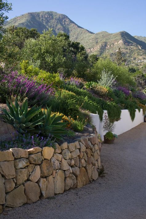 Mediterranean Garden Design, Low Water Plants, Provence Garden, Santa Barbara Style, Spanish Garden, Hillside Garden, Mediterranean Landscaping, Estate Garden, Dry Garden