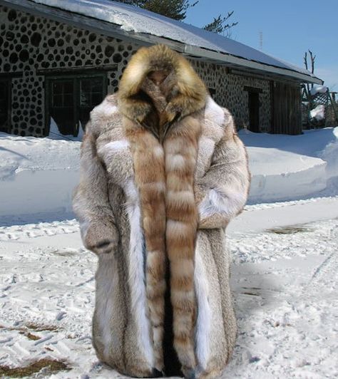 Photoshopped Images, Vintage Fur, Live Fashion, Fur Coats, Fur Fashion, It's Cold, Mascot Costumes, Fox Fur, Fur Coat