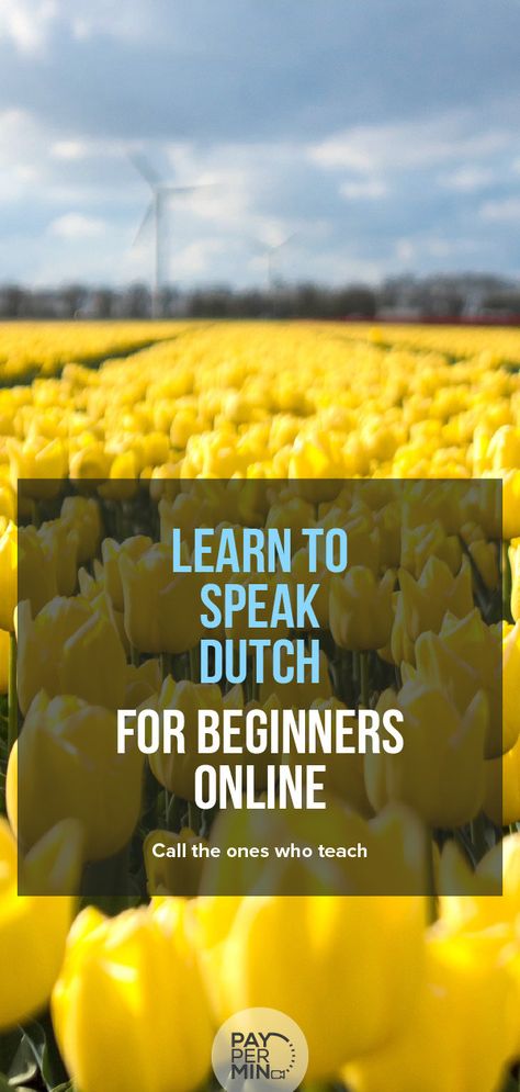 Learn how to speak Dutch for beginners online with a remote private teacher via video calling Tips For English, Private Teacher, Spanish Writing, Language Learning Tips, Relationship Coaching, Dutch Language, Learning Tips, Language Teacher, Coaching Tools