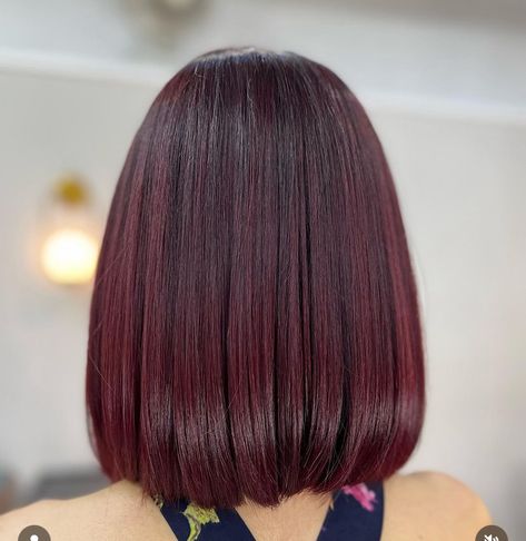 Auburn Bob Haircut, Auburn Bob, Cherry Cola Hair, Angled Bobs, Red Bob, Short Hair Highlights, Blur Photography, Wine Hair, Brown Hair Looks