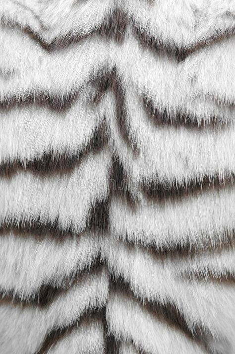 Tiger skin Wallpaper Aesthetic Tiger, White Tiger Aesthetic, White Tiger Wallpaper, Tiger Aesthetics, Tiger Aesthetic, Tiger Fur, Snow Tiger, Snow Leopard Print, Vector Nature