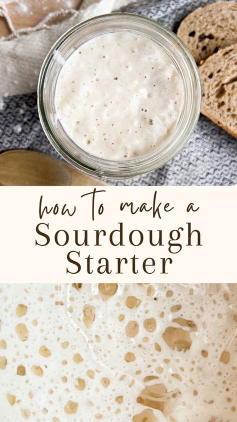 Amish Bread, Farmhouse Life, Sourdough Bread Starter, Starter Recipe, Sourdough Sandwich, Homemade Sourdough Bread, Bread Starter, Sourdough Starter Recipe, Budget Recipes