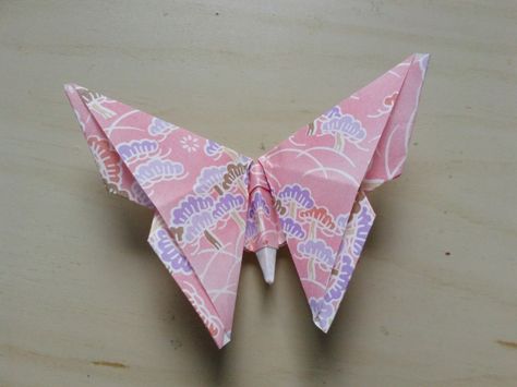 Origami Butterfly Origami Butterfly Easy, Paper Folding Art, Origami Paper Folding, Origami Star Box, Origami Models, Origami For Beginners, Origami Fish, Origami Love, Origami Patterns