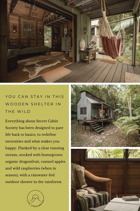 Australian Cabin, Rainforest Cabin, Wild Raspberries, Living In A Shed, Off Grid House, Bubble Tent, Beautiful Cabins, Eco Travel, The Rainforest