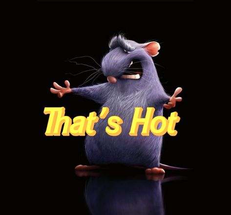 Remy The Rat, Hate Cats, Computer Wallpaper Desktop Wallpapers, True Memes, Goofy Pictures, Really Funny Pictures, Funny Me, I Don T Know, My Crush