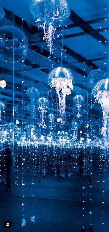 Acrylic Infinity Jellyfish Gallery 3 - Acrylic Infinity Jellyfish – CCC Ltd Under The Sea Lighting, Underwater Quinceanera, Ocean Quinceanera Theme, Jellyfish Party Decor, Under The Sea Gala, Under The Sea Prom, Jellyfish Party, Jellyfish Wedding, Underwater Dark