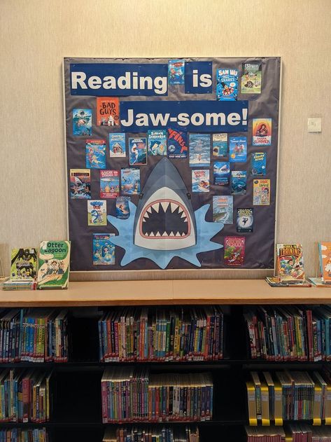 Goodyear Branch Library MBS 2022 Oceans of Possibilities bulletin board Summer Display, Prek Ideas, Library Bulletin Board, King Shark, Library Book Displays, Book Displays, Reading Themes, Cap Display, Library Wall