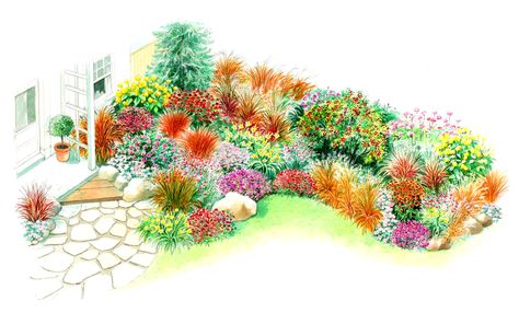 Joe Pye Weed Flower Garden Layout, Plan Illustration, Gardening Veggies, Joe Pye, Colorful Shrubs, Flower Garden Plans, Garden Plan, Zone 9, Garden Design Layout