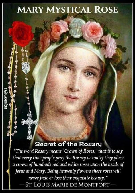 To pray the rosary is to hand over our burdens to the merciful Hearts of Christ and his Mother.           – St. John Paul II Blessed Mary, Novena Prayers, Saint Quotes Catholic, Images Of Mary, Religious Pictures, Mama Mary, Catholic Images, Queen Of Heaven, Holy Rosary