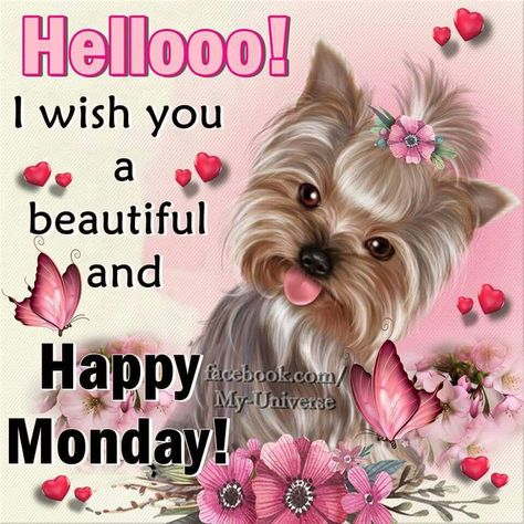 Hellooo! I Wish You A Beautiful And Happy Monday monday monday quotes happy… Feliz Lunes Gif, Happy Monday Gif, Happy Wednesday Pictures, Happy Monday Images, Monday Wishes, Monday Greetings, Monday Pictures, Happy Monday Quotes, Happy Monday Morning