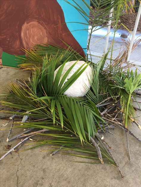 Dinosaur Cave, Egg Project, Jurassic Park Party, Scholastic Book Fair, Dinosaur Bedroom, Dino Eggs, Largest Dinosaur, Dinosaur Themed Birthday Party, Dinosaur Crafts