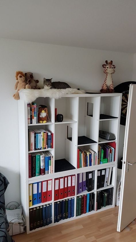 Bookshelf For Cats, Cat Bookshelf, Kallax Ideas, Katt Diy, Cat Furniture Design, Katt Grejer, Cat Wall Shelves, Nursery Bookshelf, Cat Wall Furniture