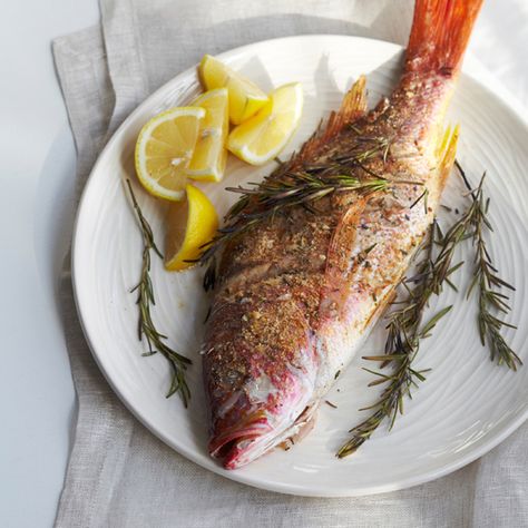 Whole Snapper Recipes, Grilled Red Snapper, Slow Roasted Turkey, Snapper Recipes, Baked Butternut Squash, Grill Basket, Weiner Dogs, Shellfish Recipes, Classic Italian Dishes